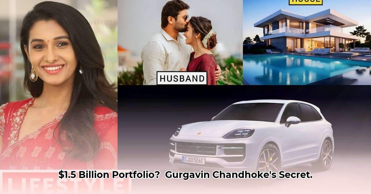 gurgavin-chandhoke-net-worth